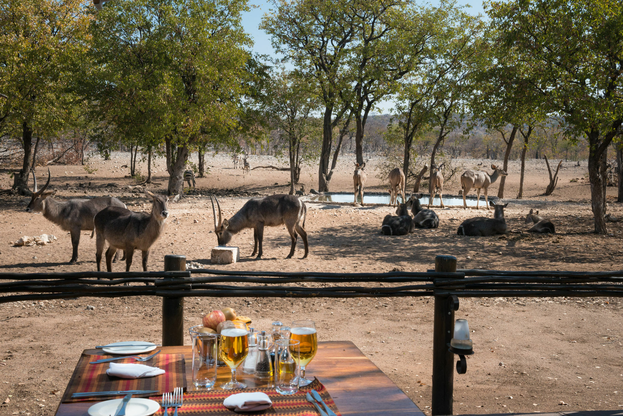 Ongava Tented Camp - All-Inclusive Окаукуехо Екстериор снимка